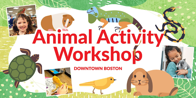 Animal Activity Workshop at Downtown Boston